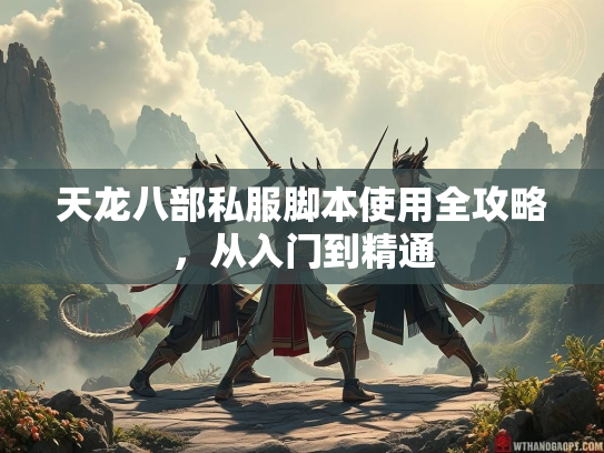 天龙八部私服脚本使用全攻略，从入门到精通