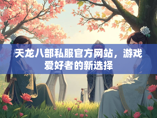 天龙八部私服官方网站，游戏爱好者的新选择  第1张
