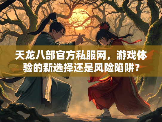 天龙八部官方私服网，游戏体验的新选择还是风险陷阱？