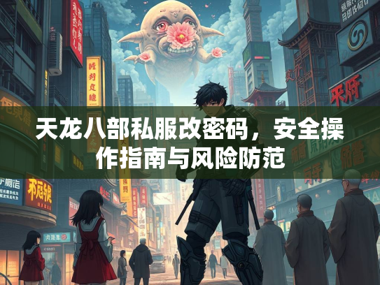 天龙八部私服改密码，安全操作指南与风险防范