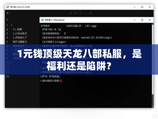 1元钱顶级天龙八部私服，是福利还是陷阱？  第3张