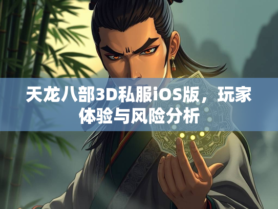 天龙八部3D私服iOS版，玩家体验与风险分析  第2张