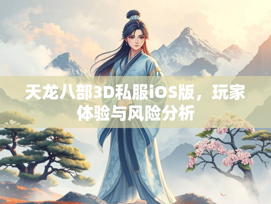 天龙八部3D私服iOS版，玩家体验与风险分析  第3张