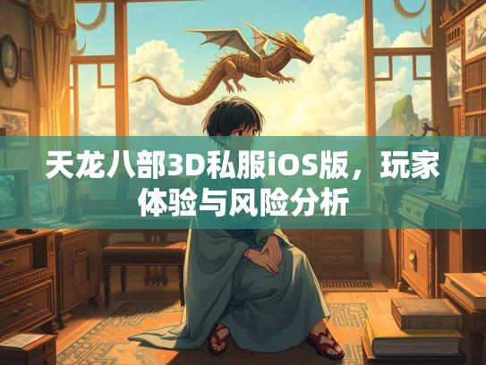 天龙八部3D私服iOS版，玩家体验与风险分析  第1张