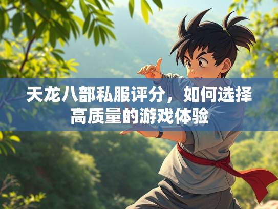 天龙八部私服评分，如何选择高质量的游戏体验