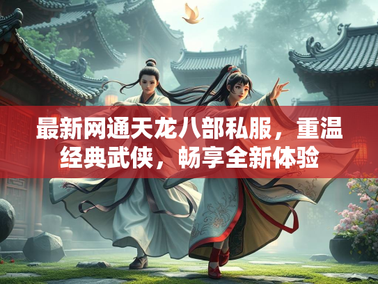 最新网通天龙八部私服，重温经典武侠，畅享全新体验  第3张