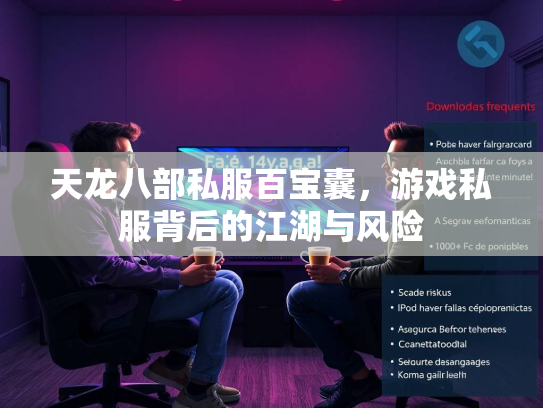 天龙八部私服百宝囊，游戏私服背后的江湖与风险