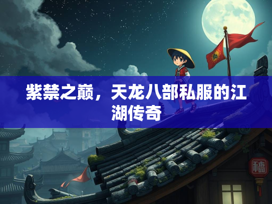 紫禁之巅，天龙八部私服的江湖传奇