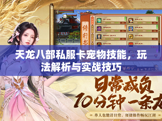 天龙八部私服卡宠物技能，玩法解析与实战技巧  第1张