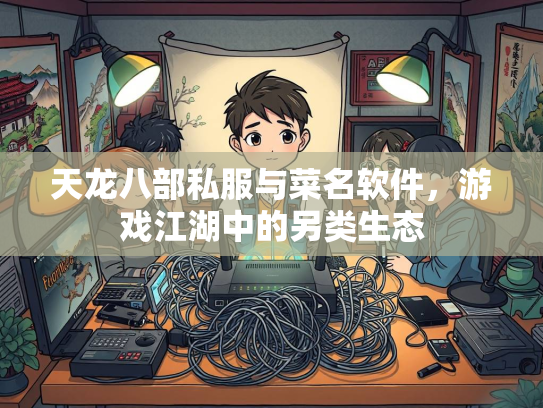 天龙八部私服与菜名软件，游戏江湖中的另类生态