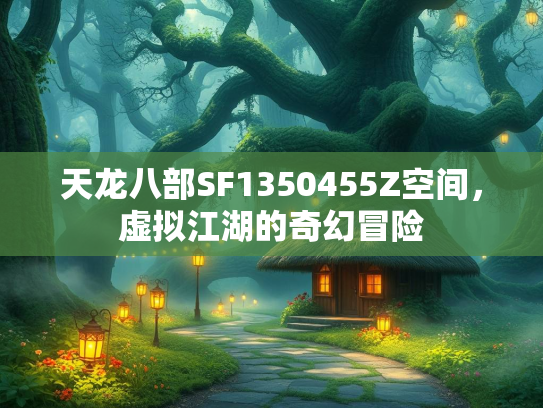 天龙八部SF1350455Z空间，虚拟江湖的奇幻冒险