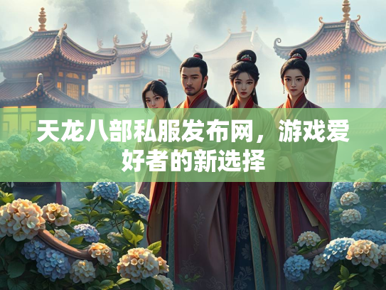 天龙八部私服发布网，游戏爱好者的新选择  第2张
