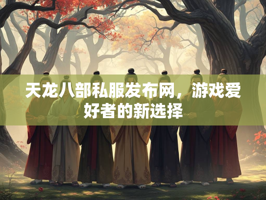 天龙八部私服发布网，游戏爱好者的新选择  第3张
