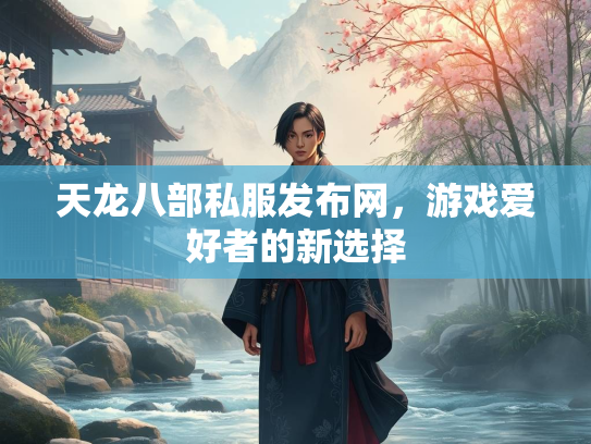 天龙八部私服发布网，游戏爱好者的新选择  第1张