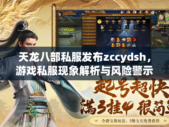 天龙八部私服发布zccydsh，游戏私服现象解析与风险警示