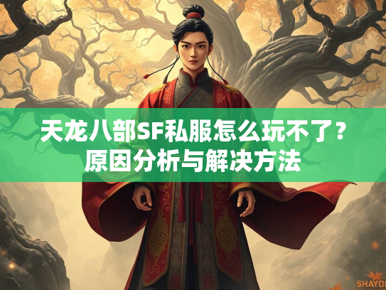 天龙八部SF私服怎么玩不了？原因分析与解决方法