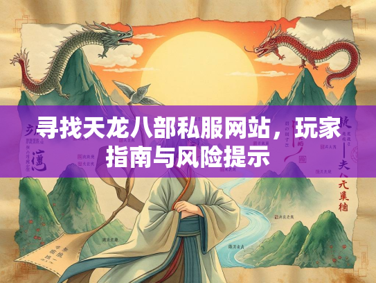 寻找天龙八部私服网站，玩家指南与风险提示