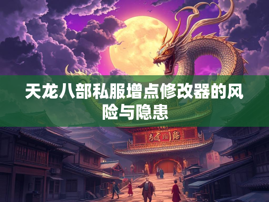 天龙八部私服增点修改器的风险与隐患