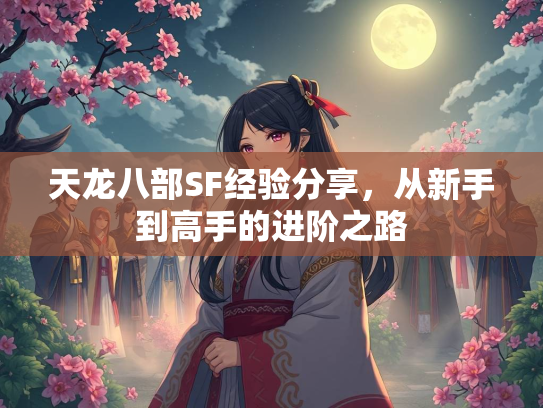 天龙八部SF经验分享，从新手到高手的进阶之路