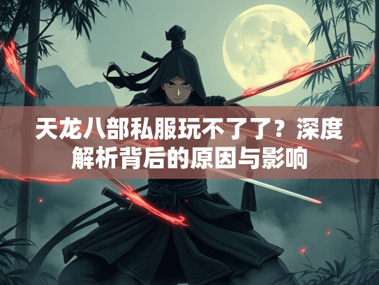 天龙八部私服玩不了了？深度解析背后的原因与影响