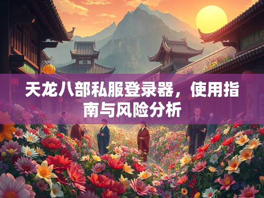 天龙八部私服登录器，使用指南与风险分析
