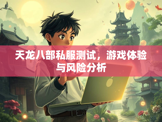 天龙八部私服测试，游戏体验与风险分析