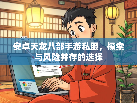 安卓天龙八部手游私服，探索与风险并存的选择