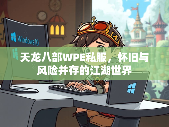 天龙八部WPE私服，怀旧与风险并存的江湖世界