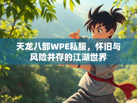 天龙八部WPE私服，怀旧与风险并存的江湖世界