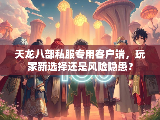 天龙八部私服专用客户端，玩家新选择还是风险隐患？