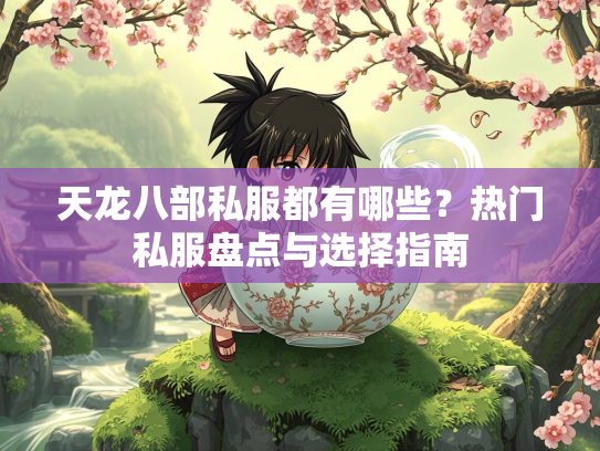 天龙八部私服都有哪些？热门私服盘点与选择指南  第3张