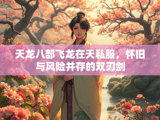 天龙八部飞龙在天私服，怀旧与风险并存的双刃剑