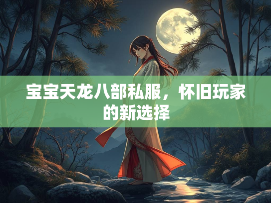 宝宝天龙八部私服，怀旧玩家的新选择