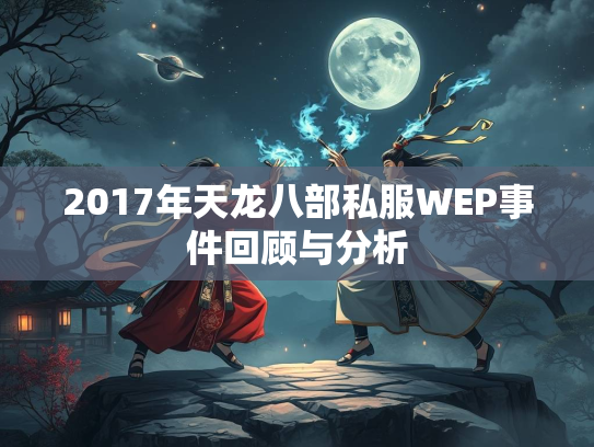 2017年天龙八部私服WEP事件回顾与分析