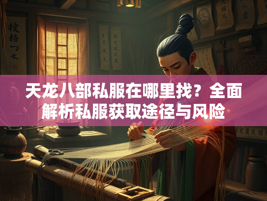 天龙八部私服在哪里找？全面解析私服获取途径与风险