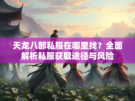 天龙八部私服在哪里找？全面解析私服获取途径与风险