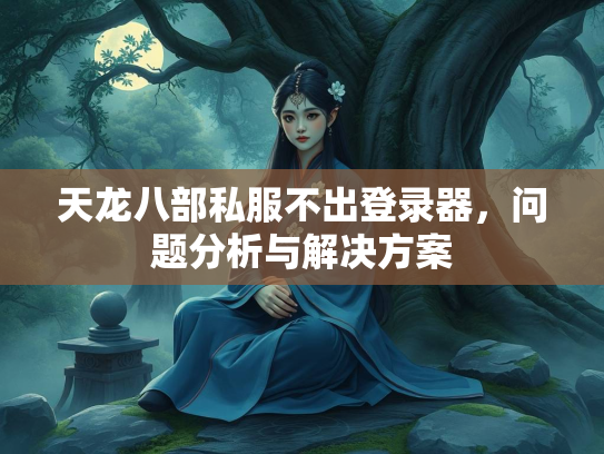 天龙八部私服不出登录器，问题分析与解决方案