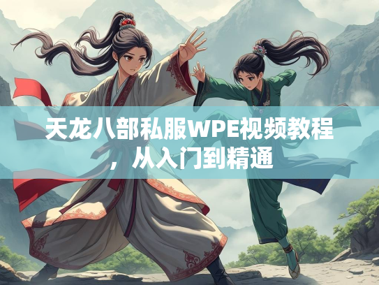 天龙八部私服WPE视频教程，从入门到精通