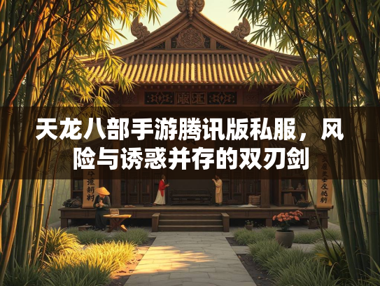 天龙八部手游腾讯版私服，风险与诱惑并存的双刃剑