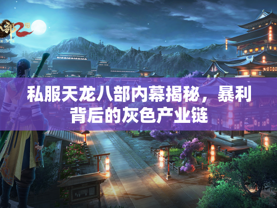 私服天龙八部内幕揭秘，暴利背后的灰色产业链  第2张