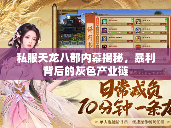 私服天龙八部内幕揭秘，暴利背后的灰色产业链  第1张