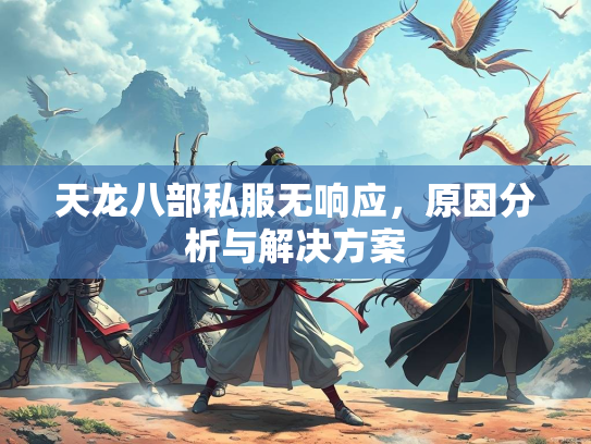 天龙八部私服无响应，原因分析与解决方案