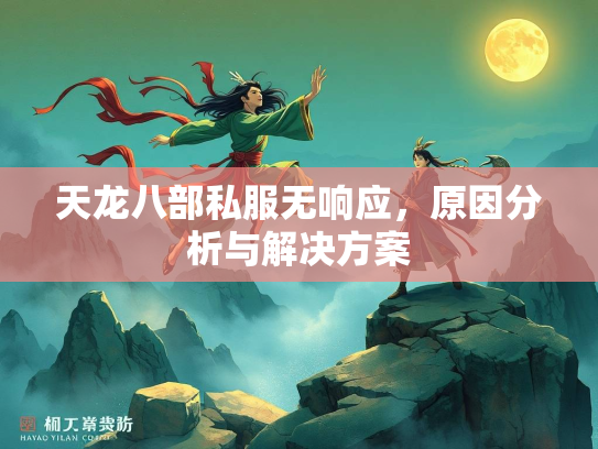 天龙八部私服无响应，原因分析与解决方案
