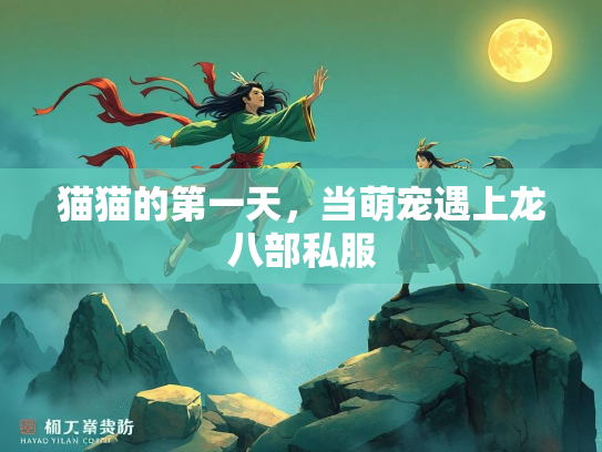 猫猫的第一天，当萌宠遇上龙八部私服
