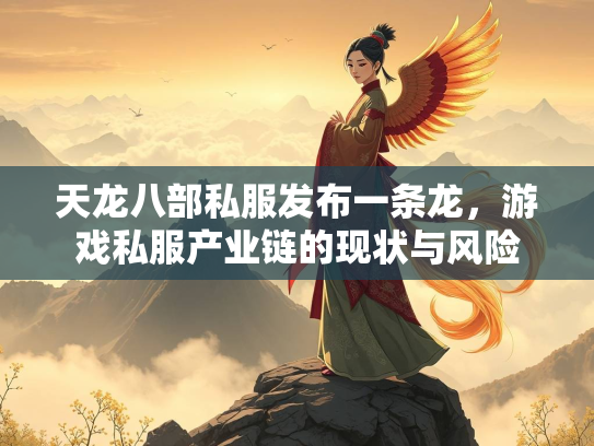 天龙八部私服发布一条龙，游戏私服产业链的现状与风险  第4张