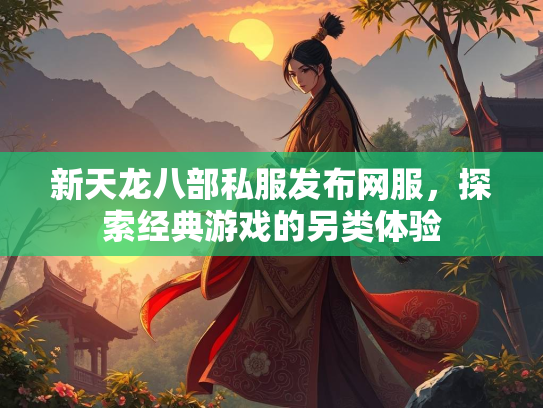 新天龙八部私服发布网服，探索经典游戏的另类体验  第2张