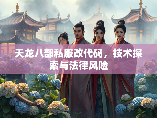 天龙八部私服改代码，技术探索与法律风险