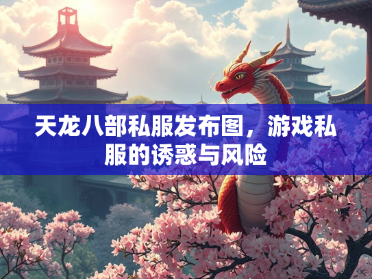 天龙八部私服发布图，游戏私服的诱惑与风险