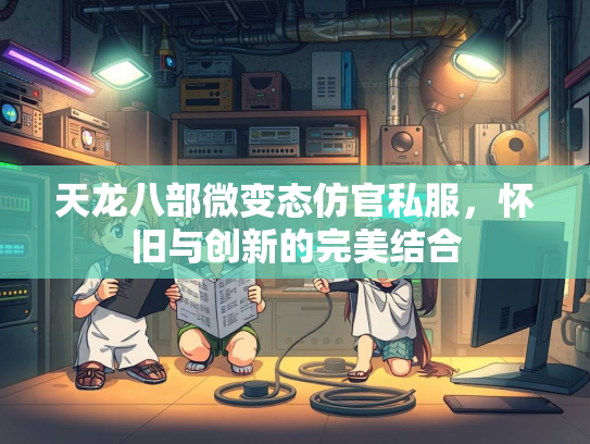 天龙八部微变态仿官私服，怀旧与创新的完美结合