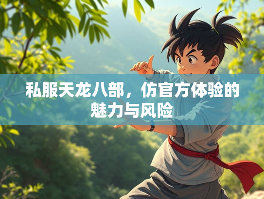 私服天龙八部，仿官方体验的魅力与风险